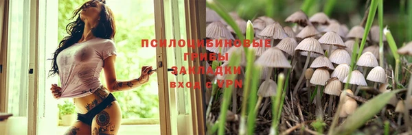 эйфоретик Бугульма
